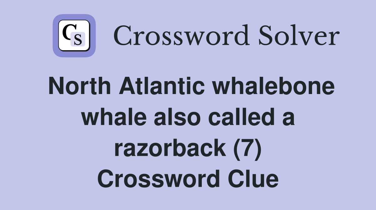 North Atlantic whalebone whale also called a razorback (7) Crossword